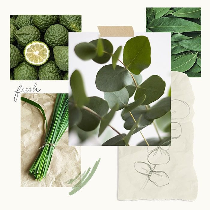 Eucalyptus Bath Salts Envelope