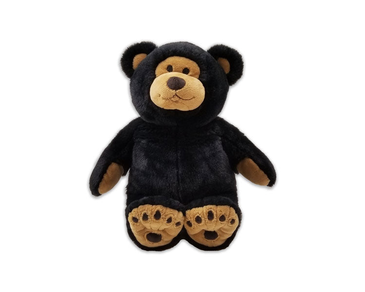 Small Black Bear